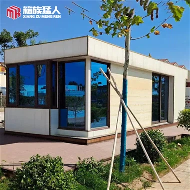 Light Steel House Villa